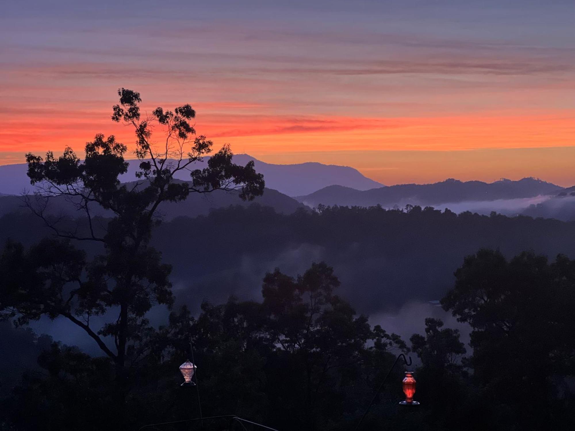 Smoky Best - Glowing Twilight Pigeon Forge Extérieur photo