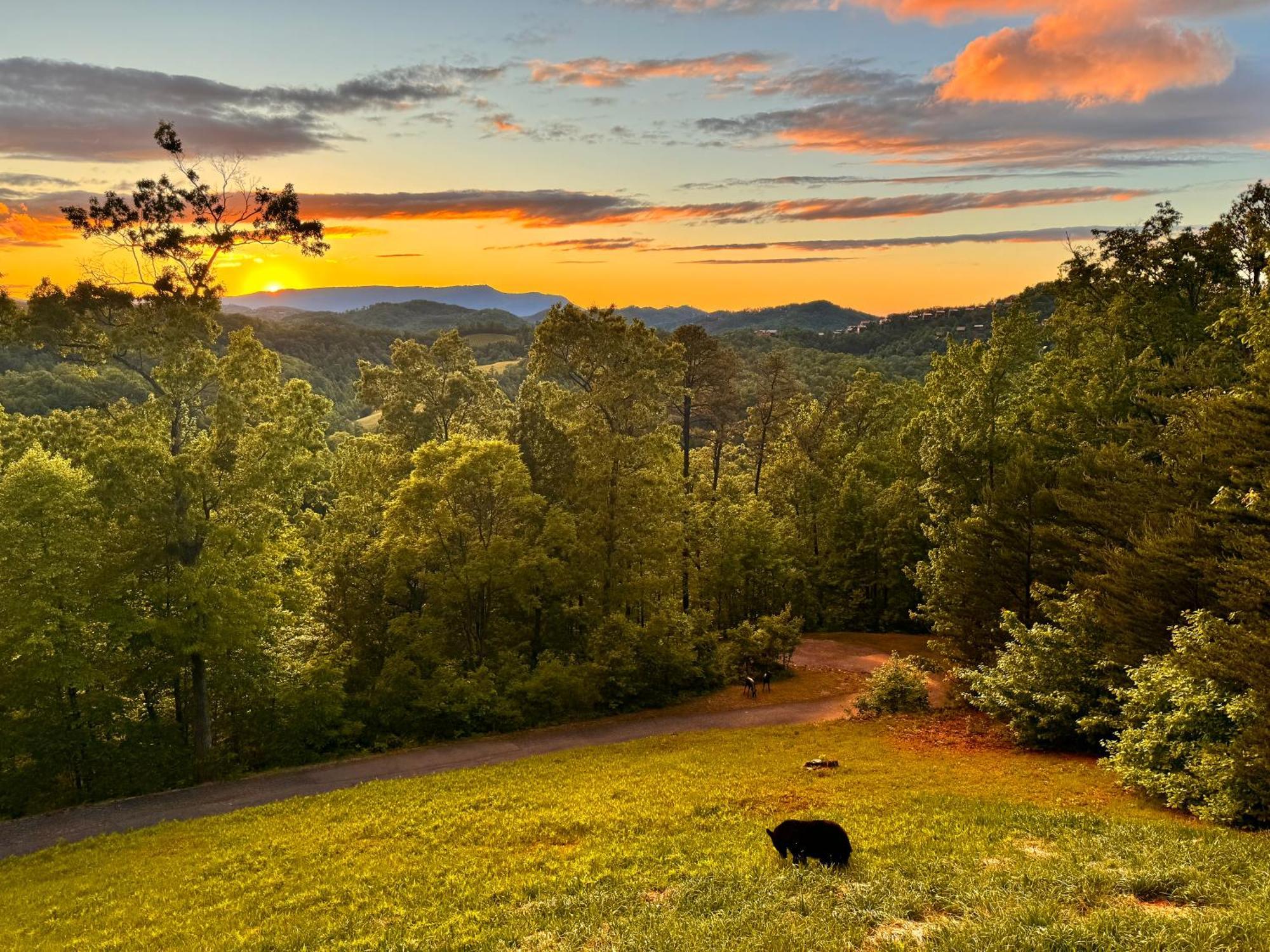 Smoky Best - Glowing Twilight Pigeon Forge Extérieur photo
